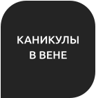 КАНИКУЛЫ В ВЕНЕ